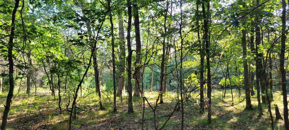 Castle Rock Area Getaway - Cam..