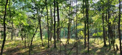 Castle Rock Area Getaway - Camp/Build - Necedah, Wisc.