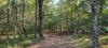 Castle Rock Area Getaway - Camp/Build - Necedah, Wisc.