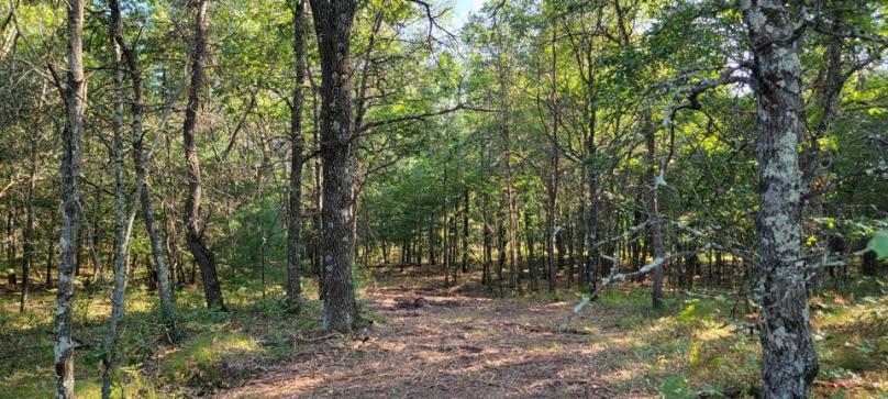 Castle Rock Area Getaway - Camp/Build - Necedah, Wisc.
