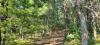 Castle Rock Area Getaway - Camp/Build - Necedah, Wisc.
