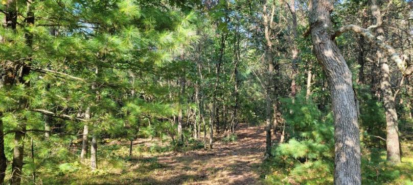 Castle Rock Area Getaway - Camp/Build - Necedah, Wisc.