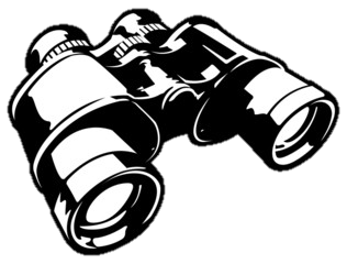 Explore Related Sites